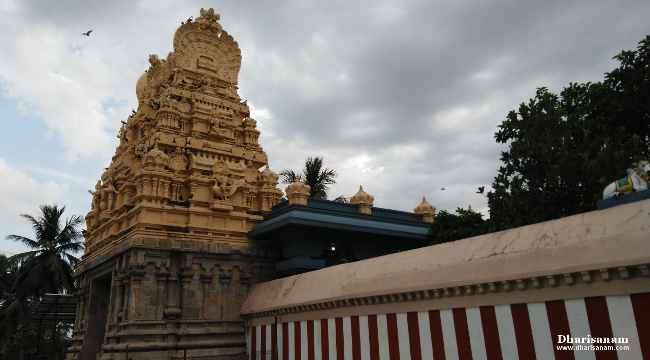 Sri Sarguneswarar Temple at Karuvili Kottitai (Karuveli) - Dharisanam