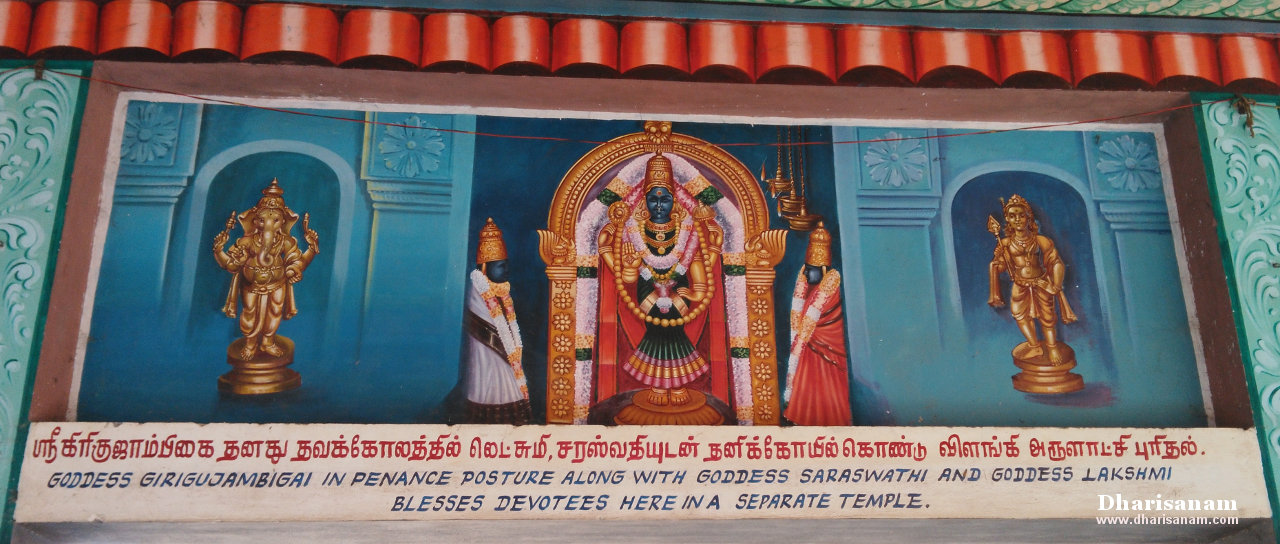 Sri Nageswaraswamy Temple at Thirunageswaram - Dharisanam